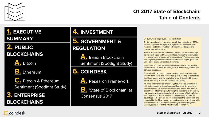 TheAbundanceofInformationinBlockchain