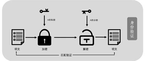 比特币节点的功能有四个