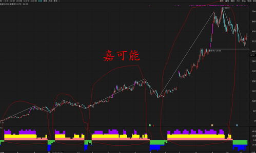 股票和比特币哪个风险大