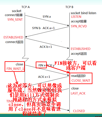 csocket编程详解