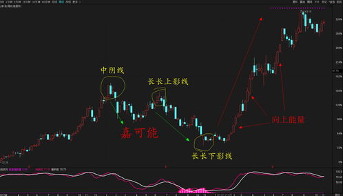 比特币期货高手