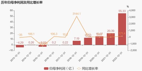 晶澳科技公司简介