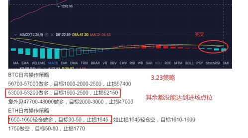 比特币买涨买跌软件