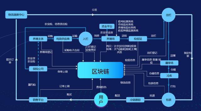 区块链数据上链流程