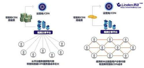 区块链存储项目对比