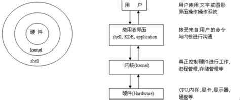 编程的脚本语言有哪些