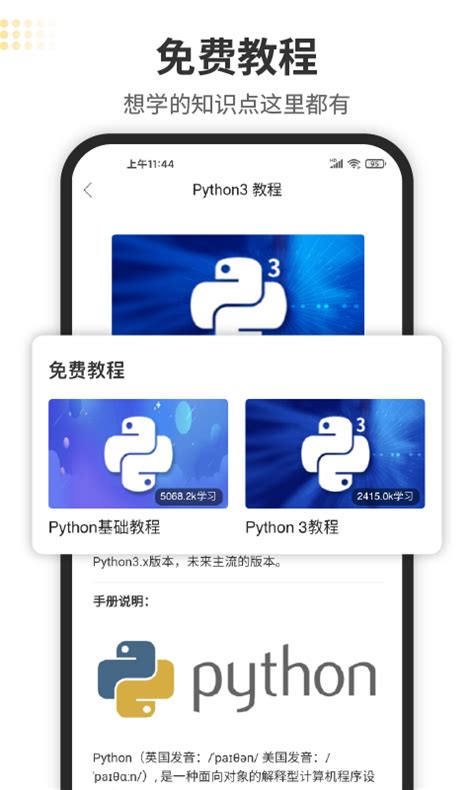 python青少年编程