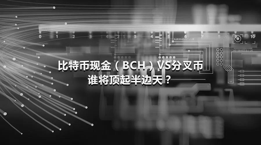 比特币bcc