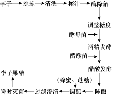 des编程