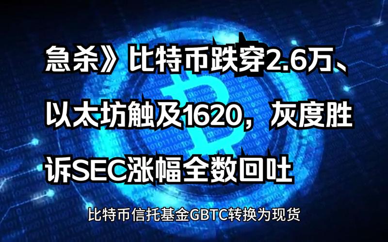 比特币投资失败报复社会