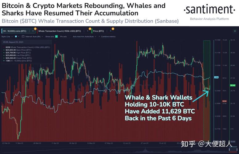 比特币最近涨了吗