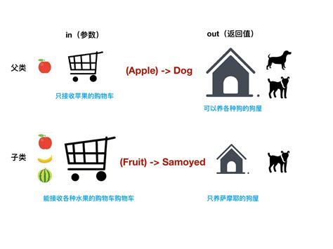 电脑函数编程怎么用