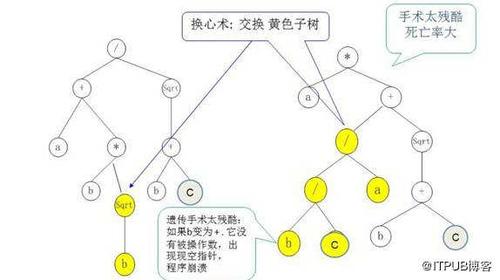 基因编辑案例分析