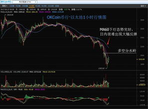 1.TradingView