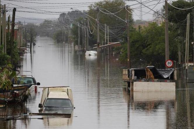 [正点财经]巴西东南部暴雨已造成至少24人死亡