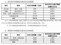 股权行使与公司治理万股发行背后的战略考量