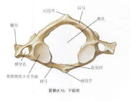 德斯控股盘中异动股价暴跌背后的市场分析与未来展望