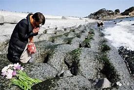 日本岩手县沿海地区地震灾害影响与应对措施