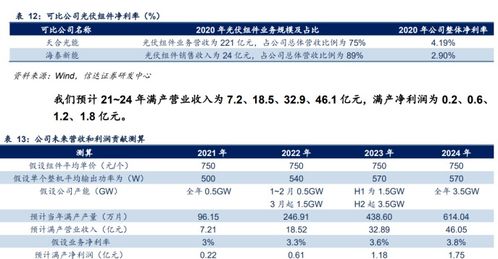 星帅尔公司简介