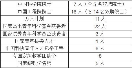 德必集团股价上涨背后的资本动向与市场影响分析