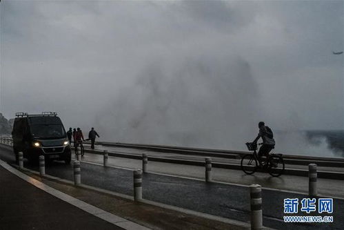 巴西东南部暴雨引发严重灾害生命损失与救援挑战