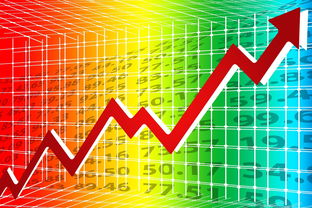 新澳今天最新资料：2024年新澳门开码结果：网页版v855.090