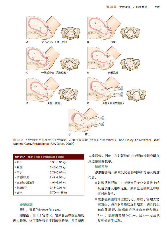 治疗性运动：基础与技术（第7版）经久不衰的国际运动治疗学标杆之作