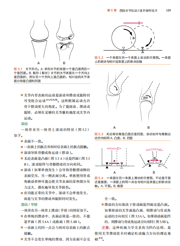 治疗性运动：基础与技术（第7版）经久不衰的国际运动治疗学标杆之作