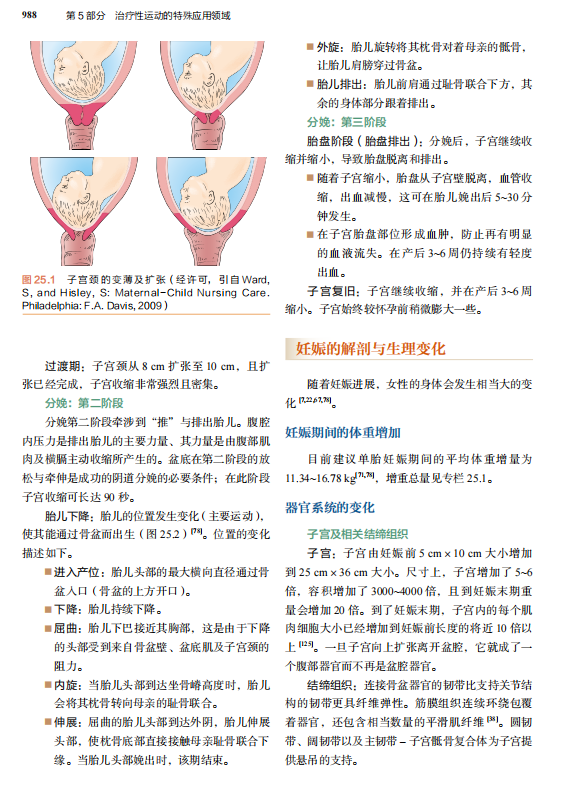 治疗性运动：基础与技术（第7版）经久不衰的国际运动治疗学标杆之作