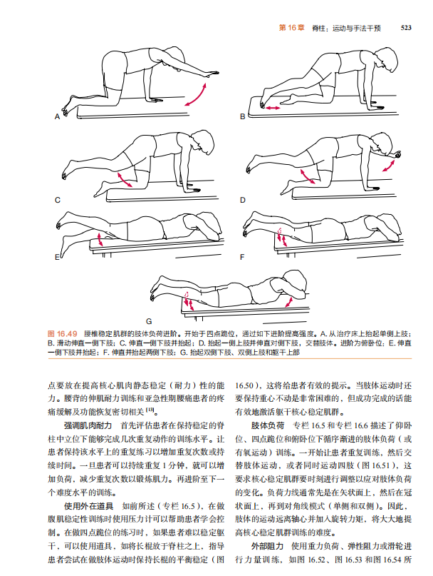 治疗性运动：基础与技术（第7版）经久不衰的国际运动治疗学标杆之作