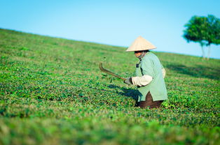 父亲节诗词32首！藏在诗词里的“父爱”，感人至深！