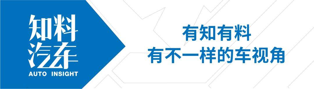 新能源“欧洲杯”，中国队能否客场“取胜”？