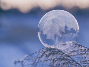 毛不易冬至献唱广州，一场雪的诗意与温情