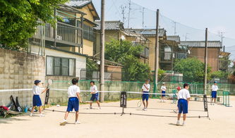 大学心理健康活动游戏湖南科技大学开展国际学生心理团体辅导