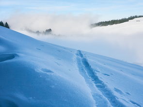 高梵KIDS滑雪节：燃动长白山的冰雪狂欢