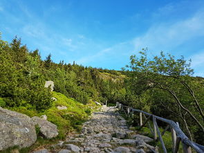 守护大山深处的健康绿洲